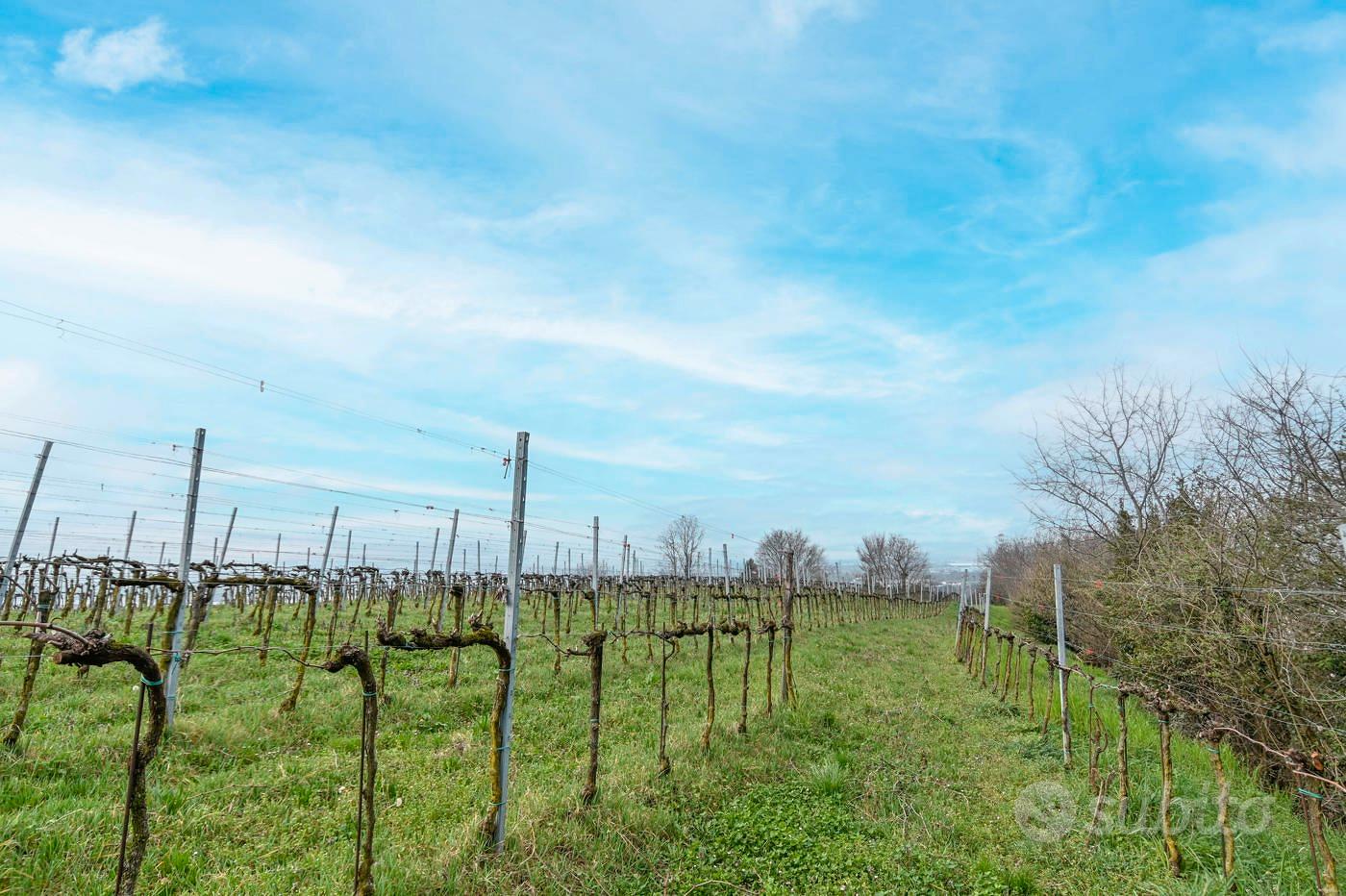 Terreno Agricolo Chiuduno [Cod. rif 3300105VCG] - Vista 5
