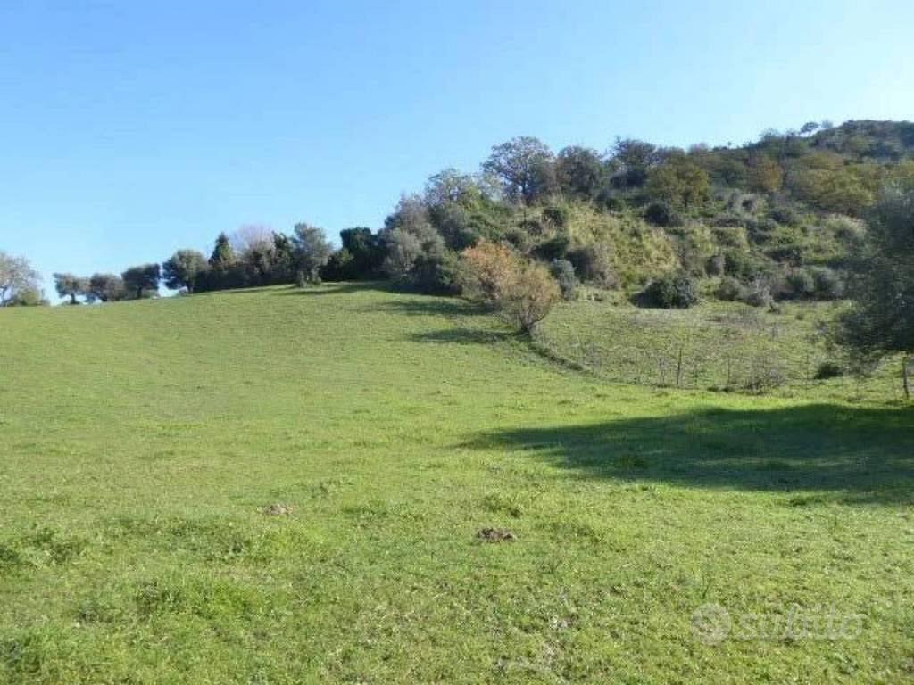 Immobile in asta di 6430 m² a Casignana - Vista 2