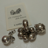 Smarrimento braccialetto a COLLEGNO (TO)