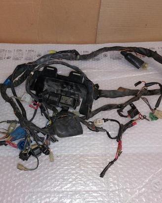 Impianto elettrico completo suzuki sv 650 2001