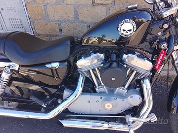 Harley Davidson XL 883 c