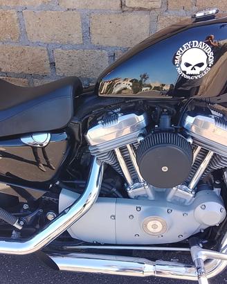 Harley Davidson XL 883 c