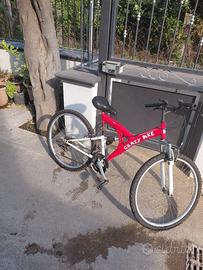 Bicicletta montain bike