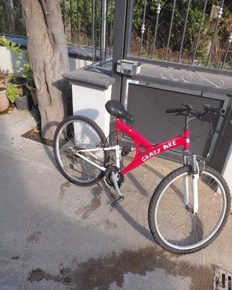 Bicicletta montain bike