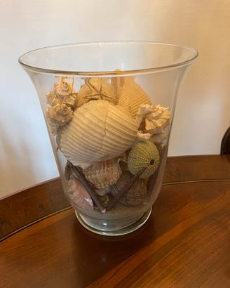 Composizione marina, vaso con conchiglie