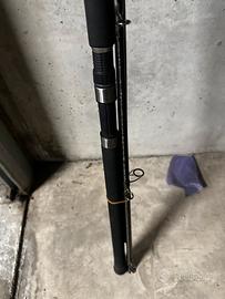 Canna siluro shimano beastmaster Ax catfish