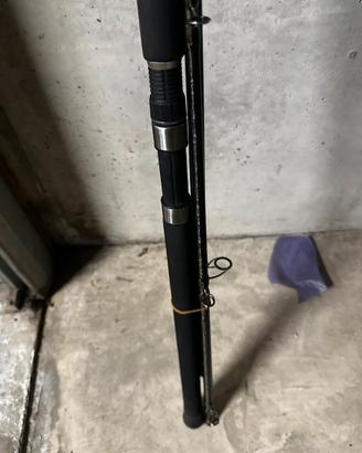Canna siluro shimano beastmaster Ax catfish