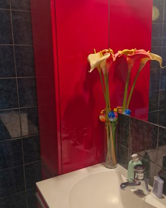 mobile bagno