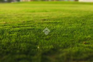 TER. RESIDENZIALE A RONCADE