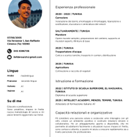 Muratore. /In falegnameria