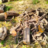 legna da ardere di ulivo depezzata per caminetto