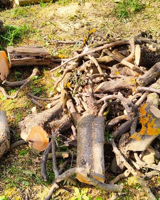 legna da ardere di ulivo depezzata per caminetto