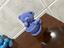 Immagine 2