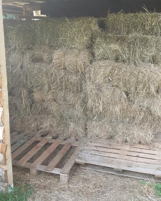 Ballette di fieno
