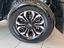 Immagine 15