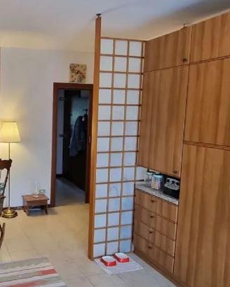 Separe parete divisoria legno