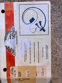 Harley davidson centralina iniettori