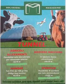 Tunnel agricolo