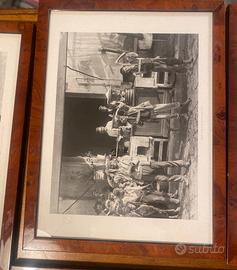 Stampe in Radica di Noce