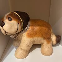 Cane della thun fuori produzione