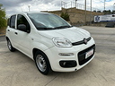 panda-van