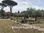 Immagine 14