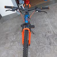 Bicicletta LEGNAGO L780 VAL DI FASSA 26″