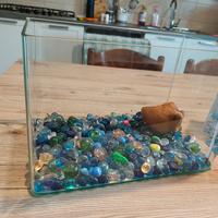 acquario e accessori