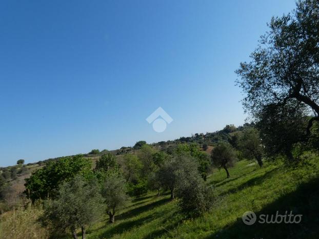 TER. AGRICOLO A PISTICCI