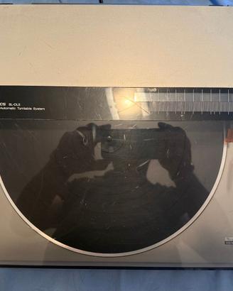 Giradischi tangenziale Technics SL-DL5