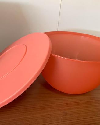 Ciotola da 2,5L - Tupperware