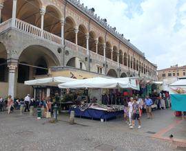 Attività commerciale a Padova - Piazze