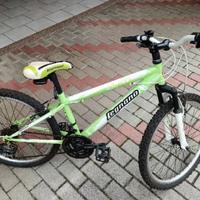 Mountain bike per ragazzi 20”