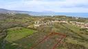 terreno-agricolo-budoni-cod-rif-3204979vcg-