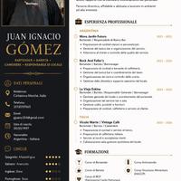 Bartender-Barista-Cameriere