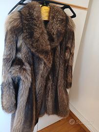 pelliccia marmotta 