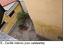 Immagine 22