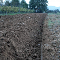 Terreno agricolo unico corpo