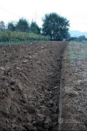 Terreno agricolo unico corpo