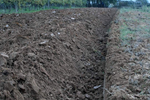 Terreno agricolo unico corpo