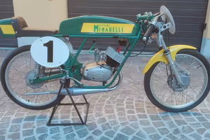 MINARELLI 60
