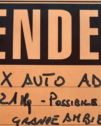 Doppio box auto