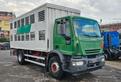 IVECO EUROCARGO 180E28 TRASPORTO ANIMALI VIVI-B