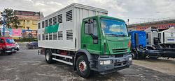 IVECO EUROCARGO 180E28 TRASPORTO ANIMALI VIVI-B