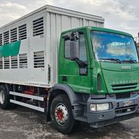 IVECO EUROCARGO 180E28 TRASPORTO ANIMALI VIVI-B