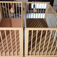 Coppia lettini 0-4 anni