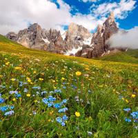 SETTIMANA a GIUGNO a FIERA di PRIMIERO 2/3xsone