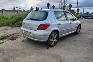 Peugeot 307 3a/c 2.0 hdi 135 136cv 03-07 ricambi