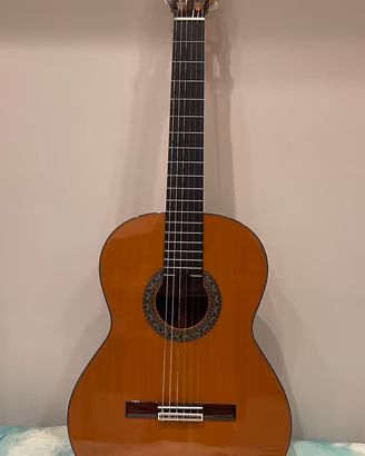 Chitarra Alhambra 5P