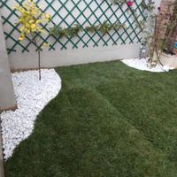 Giardiniere esperto qualificato